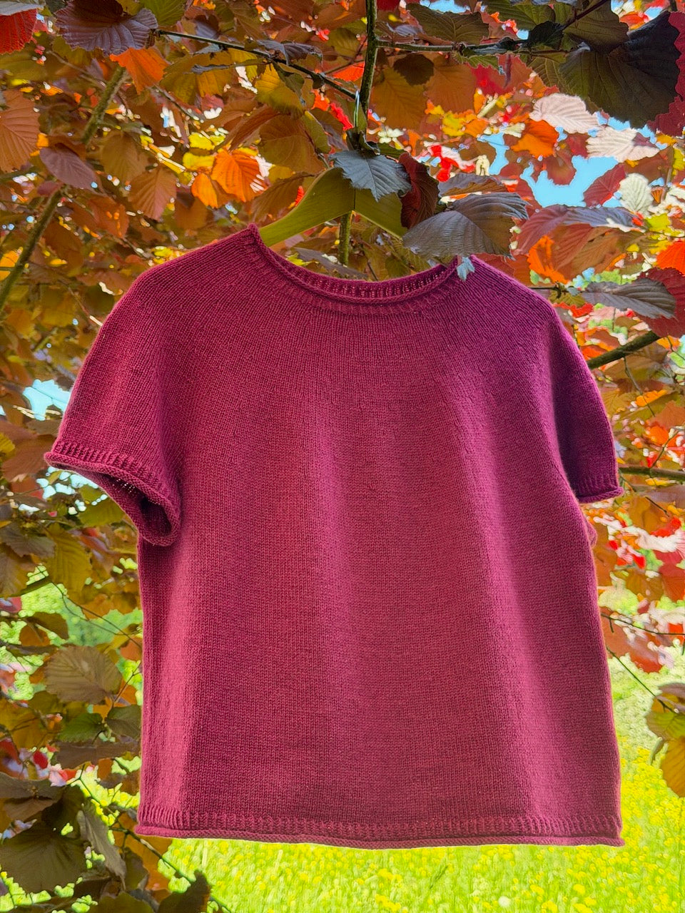 Pullover Plain Yoke Tee 28 von Le Knit in Himbeerrot, im Freien aufgehängt