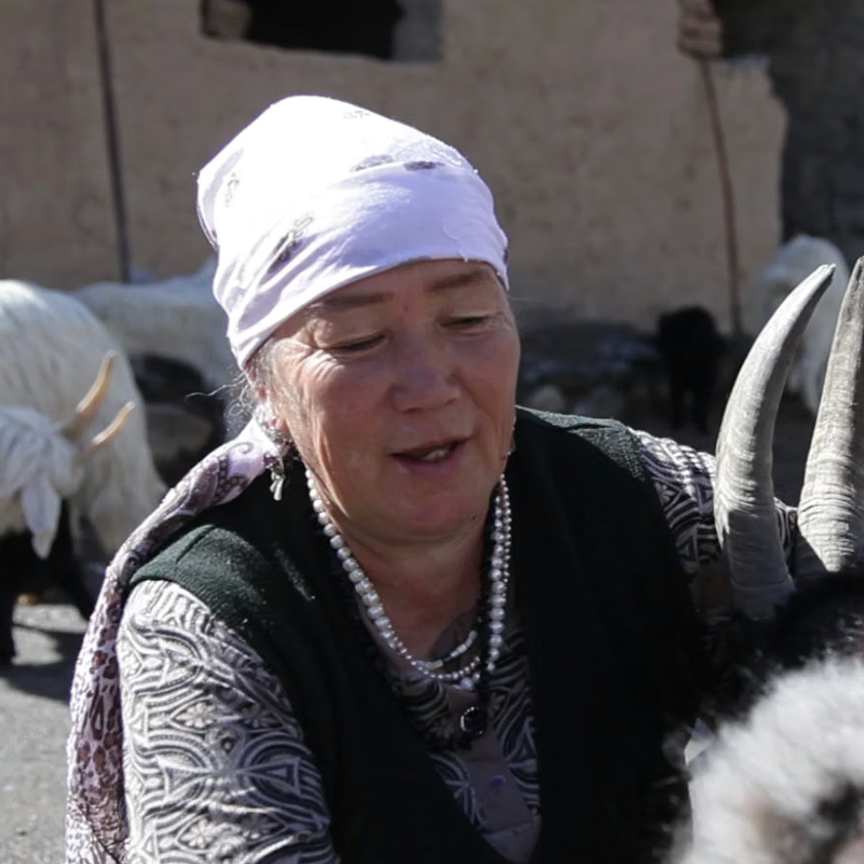 Porträt von Rakiya Akymzhanova, Bäuerin in Sopu Korgon